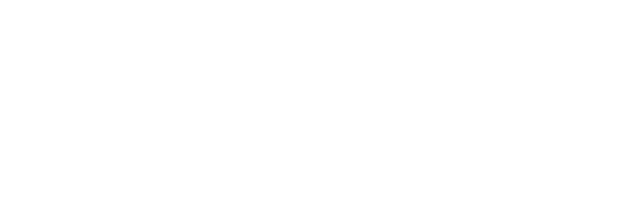 Logo Projektu Celones Celones